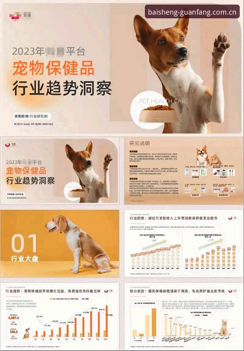 资深玩家亲测：百胜游戏版本更新实战经验与趋势洞察